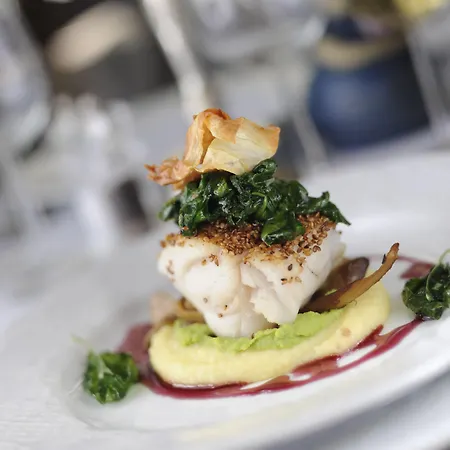 바야세르 호텔 솔보른