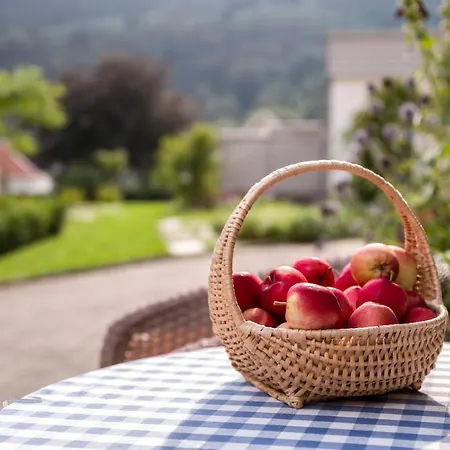 바야세르 호텔 솔보른